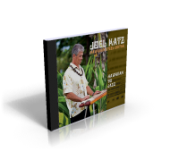 Purchase my Hawaiian To Jazz CD!
