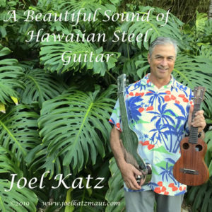 A Beautiful Sound of Hawaiian Steel Guitar - by Joel Katz